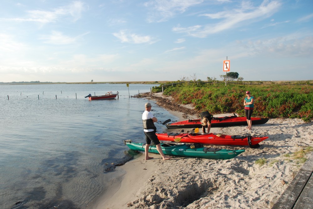 This image has an empty alt attribute; its file name is schleimc3bcnde1.jpg